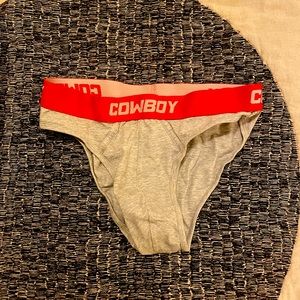 Beverly Hills Cowboy brief